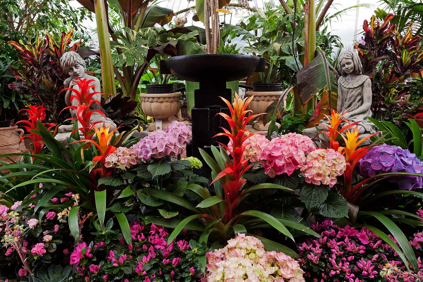 a vibrant arrangement of plants, annuals and gorgeous tropical flowers in the antons fruit ranch green house