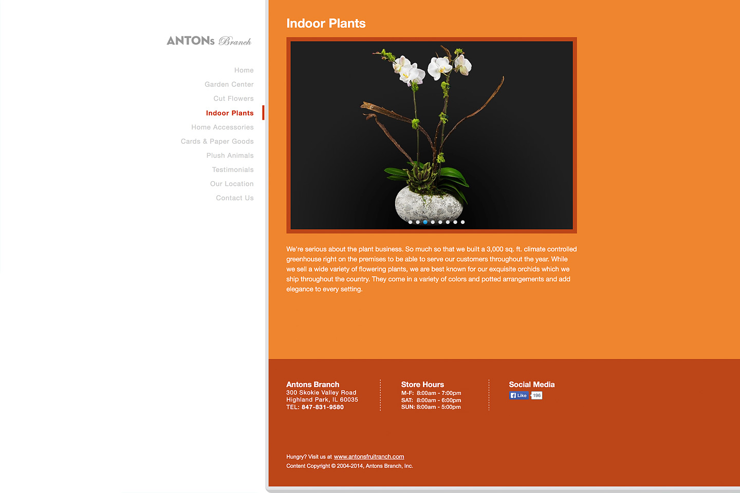 a screen capture of the indoor plants page, featuring a beautiful potted phalaenopsis orchid plant for sale at the antons branch